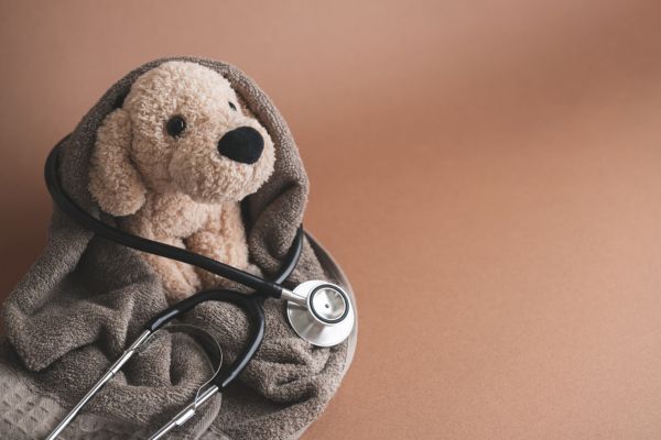 Pet wellness plans explained